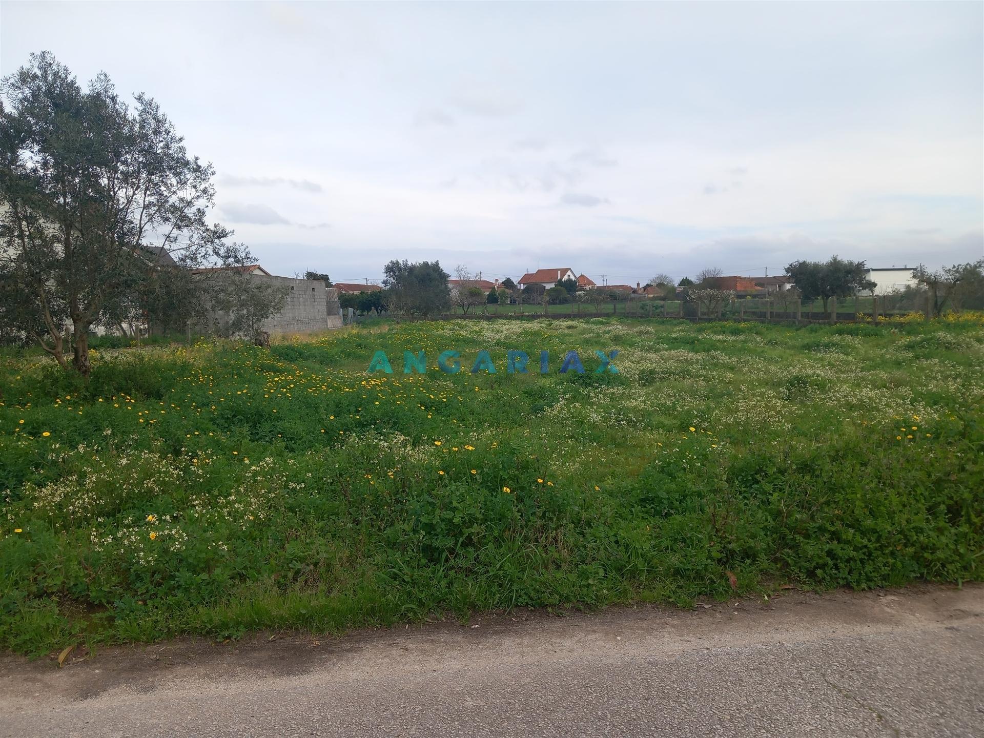 ANG1601 - Terreno para Venda em Vermoil, Pombal