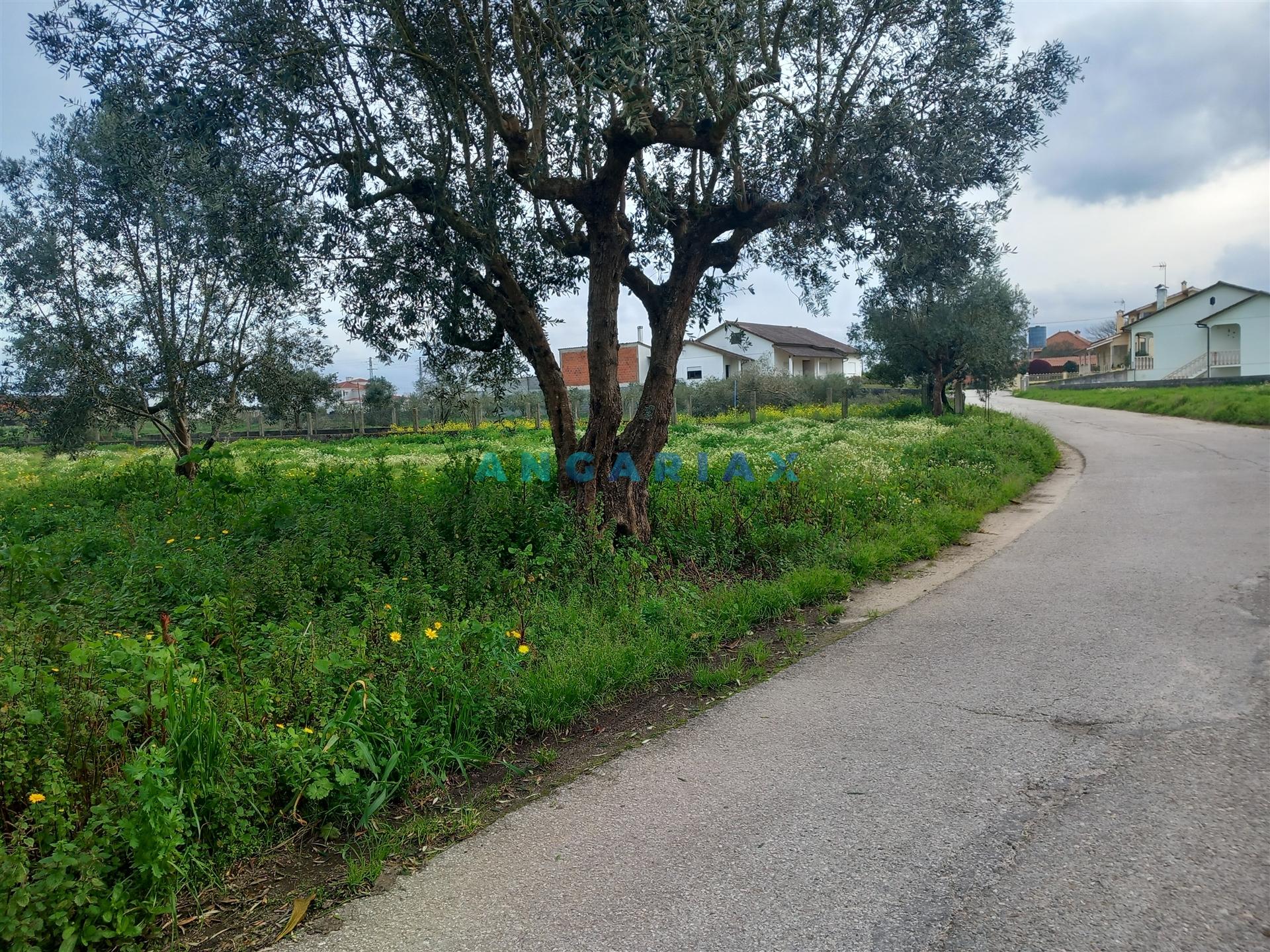 ANG1601 - Terreno para Venda em Vermoil, Pombal