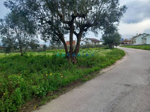 ANG1601 - Terreno para Venda em Vermoil, Pombal