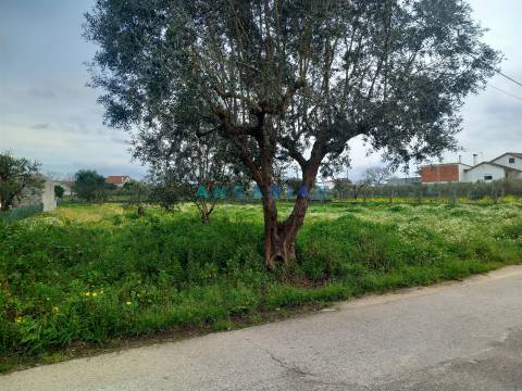 ANG1601 - Terreno para Venda em Vermoil, Pombal