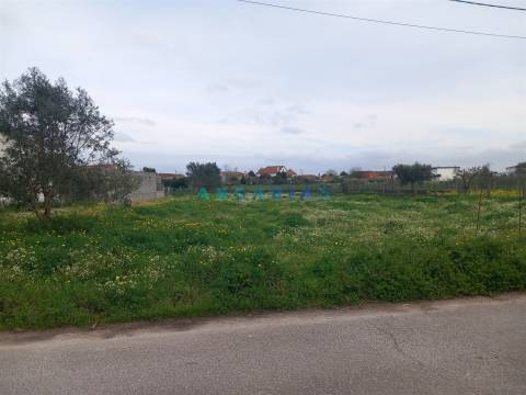 ANG1601 - Terreno para Venda em Vermoil, Pombal