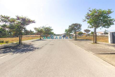 ANG1609 - Terreno para Venda em Marinha Grande