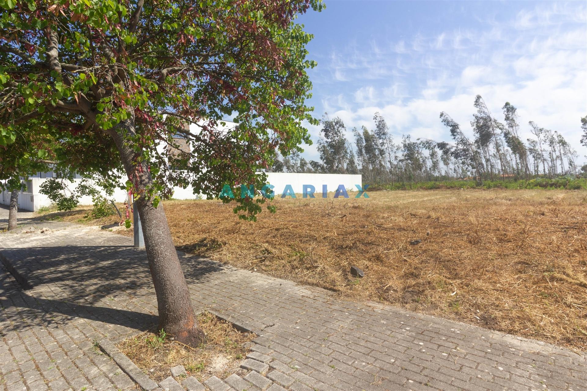 ANG1607 - Terreno para Venda em Marinha Grande