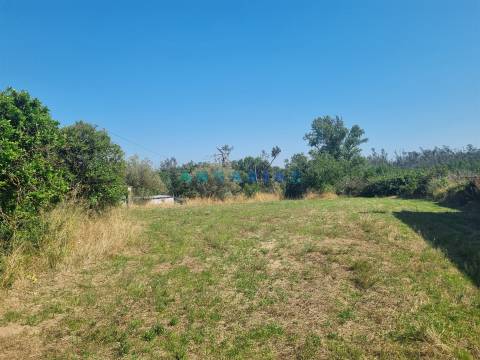 ANG1616 - Terreno para Construção à Venda em Amor, Leiria