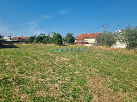 ANG1616 - Terreno para Construção à Venda em Amor, Leiria