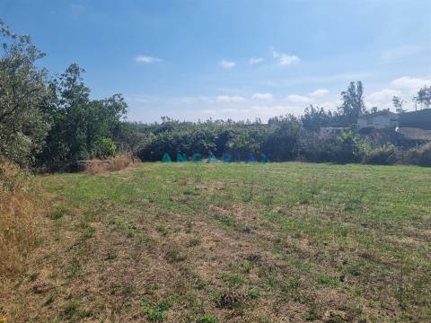 ANG1616 - Terreno para Construção à Venda em Amor, Leiria