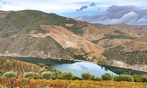 Terreno com vinha -  Douro