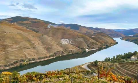 Terreno com vinha -  Douro