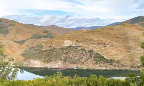 Terreno com vinha -  Douro