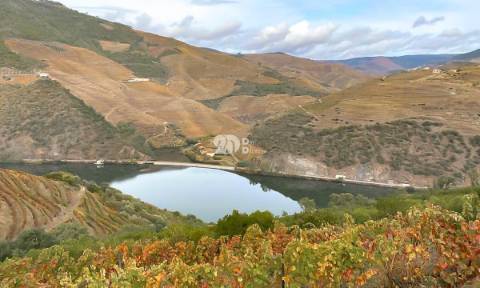 Terreno com vinha -  Douro