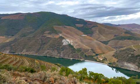 Terreno com vinha -  Douro