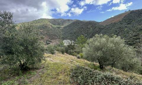 Terreno rústico - Tabuaço