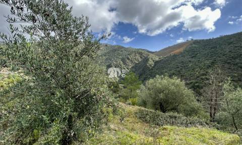 Terreno rústico - Tabuaço