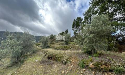 Terreno rústico - Tabuaço