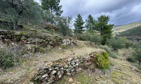 Terreno rústico - Tabuaço