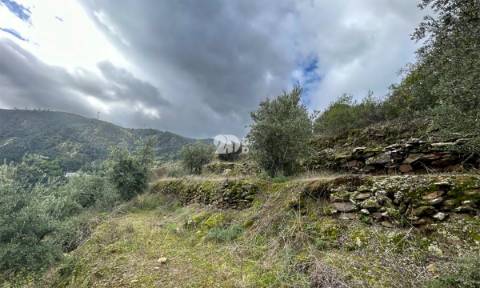 Terreno rústico - Tabuaço