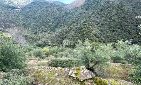 Terreno rústico - Tabuaço