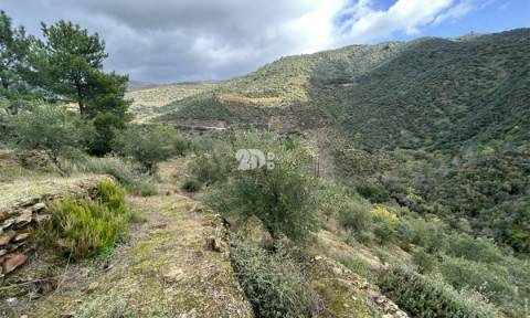 Terreno rústico - Tabuaço