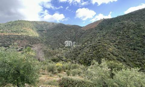 Terreno rústico - Tabuaço