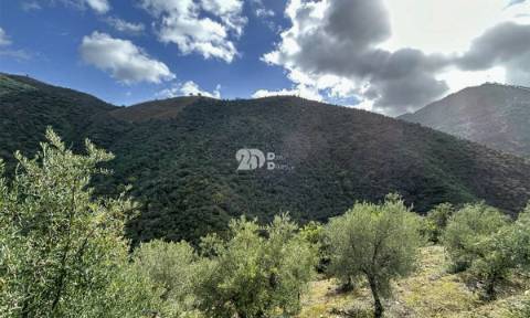 Terreno rústico - Tabuaço