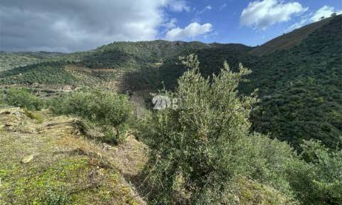 Terreno rústico - Tabuaço