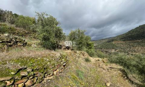 Terreno rústico - Tabuaço