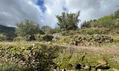 Terreno rústico - Tabuaço