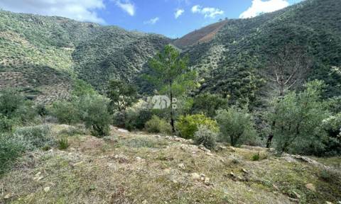 Terreno rústico - Tabuaço