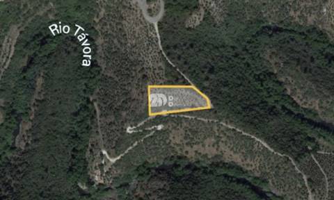 Terreno rústico - Tabuaço