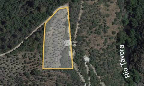 Terreno rústico - Tabuaço
