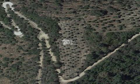 Terreno rústico - Tabuaço