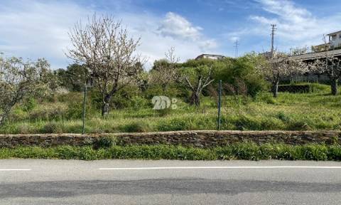 Armazém 500 m² - Tabuaço