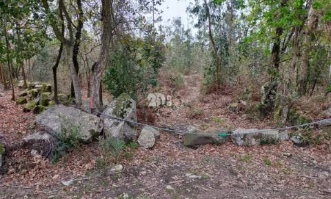 Terreno 4900m² - Palmeira