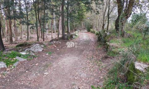 Terreno 4900m² - Palmeira