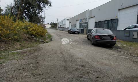 Terreno 4900m² - Palmeira