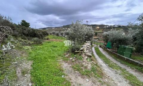 Terreno 2.000m² - Baldornas