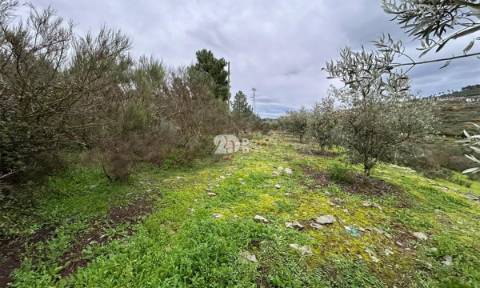 Terreno 2.000m² - Baldornas