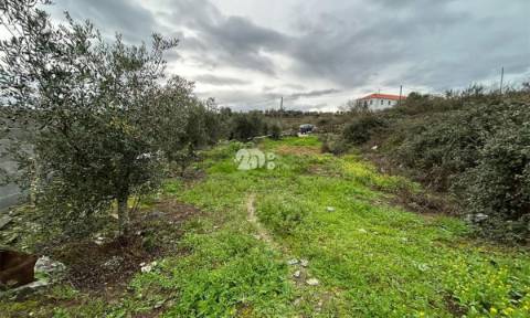 Terreno 2.000m² - Baldornas