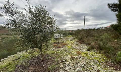 Terreno 2.000m² - Baldornas