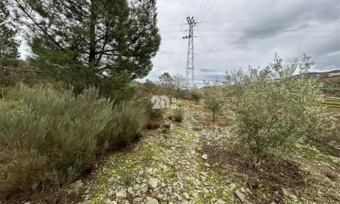 Terreno 2.000m² - Baldornas