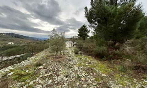 Terreno 2.000m² - Baldornas