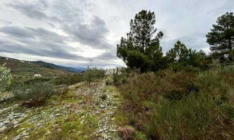 Terreno 2.000m² - Baldornas