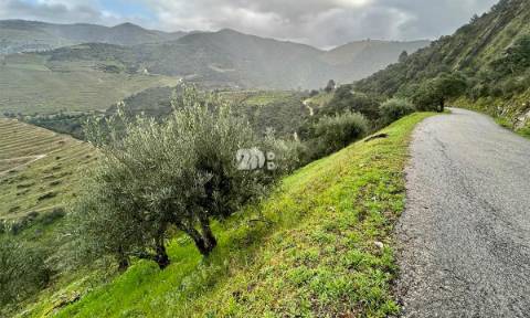 Terreno agrícola 71.790m² - Tabuaço