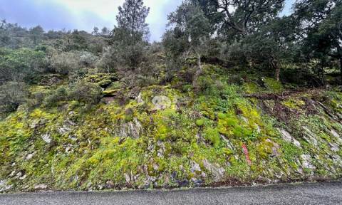 Terreno agrícola 71.790m² - Tabuaço