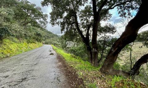 Terreno agrícola 71.790m² - Tabuaço