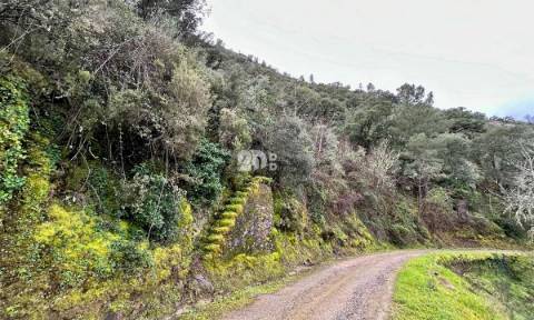 Terreno agrícola 71.790m² - Tabuaço