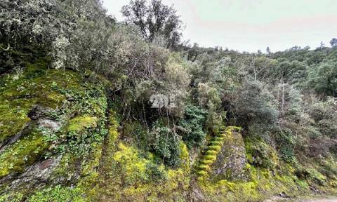 Terreno agrícola 71.790m² - Tabuaço