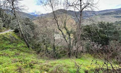 Terreno agrícola 71.790m² - Tabuaço