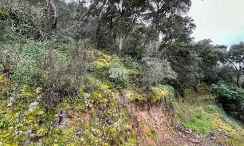 Terreno agrícola 71.790m² - Tabuaço