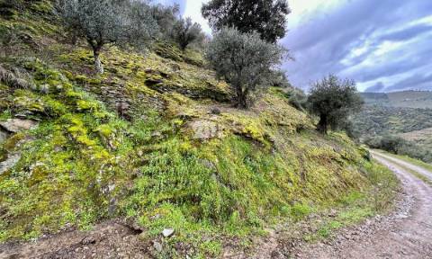 Terreno agrícola 71.790m² - Tabuaço